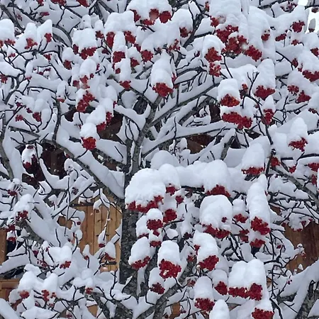 Apartamento L'eider *