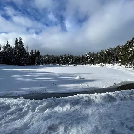 L'eider * Bolquere Pyrenees 2000