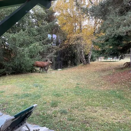 Apartamento L'eider Bolquere Pyrenees 2000