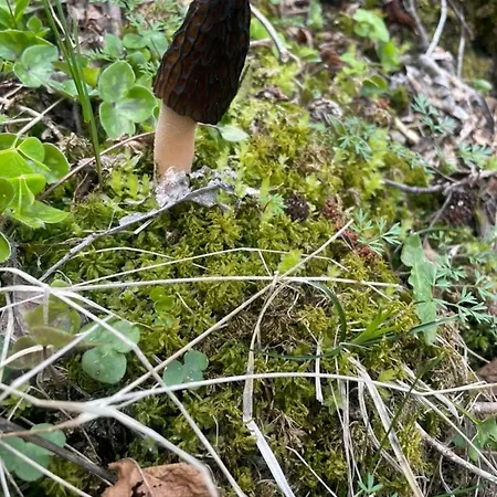 Apartamento L'eider *